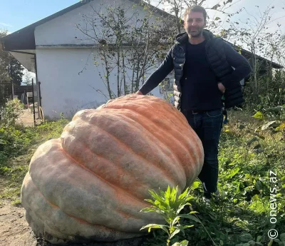 Qonşuda 735 kiloluq balqabaq yetişdi