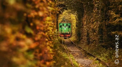 Ukraynadakı “Sevgi tuneli”: sevgilinizlə buradan keçsəniz,