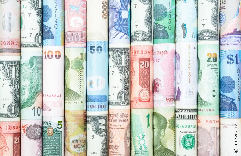 Türk Birliyi ortaq valyutaya keçir? -