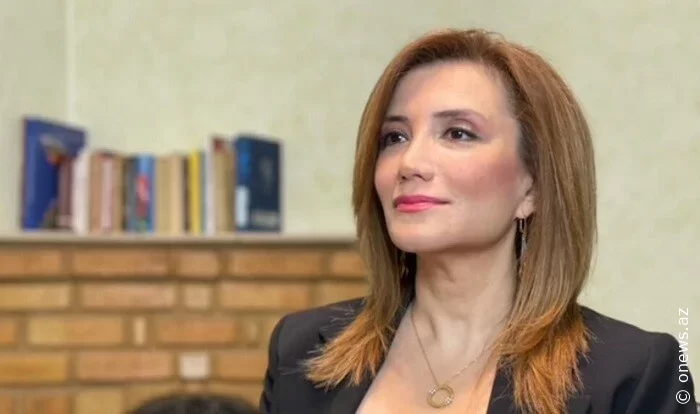 Gültəkin Hacıbəyli Azərbaycana deportasiya edildi